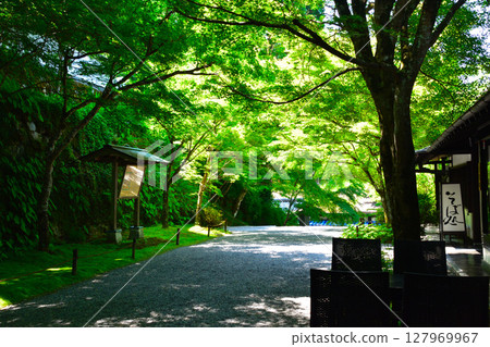 Kyoto, Ohara, Sanzen-in Temple, front of the temple, approach Kyoto, Ohara, Sanzen-in Temple, front of the temple, approach 127969967