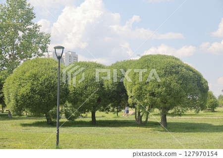 Summer on landscape park Yuzhnoye Butovo in Yuzhnoye Butovo district, Moscow, July 2022, Russia. 127970154