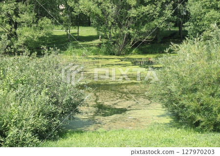 Summer sunset view of Yuzhnoe Butovo park in South Butovo district, Moscow, Russia. 127970203