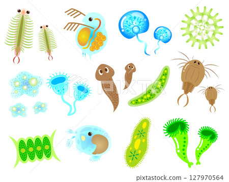 可愛的微生物和浮游生物插圖素材集3 可愛的微生物和浮游生物插圖素材集3 127970564