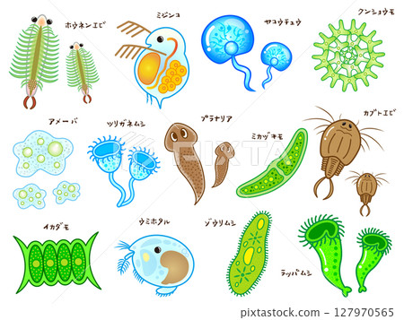 可愛的微生物和浮游生物插圖素材集4 127970565