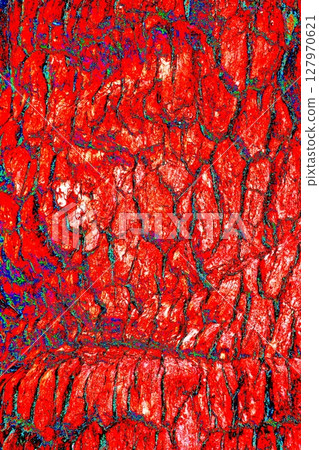 The texture of the bark of a tree close-up. Pattern of natural tree bark background. The texture of the bark of a tree close-up. Pattern of natural tree bark background. 127970621