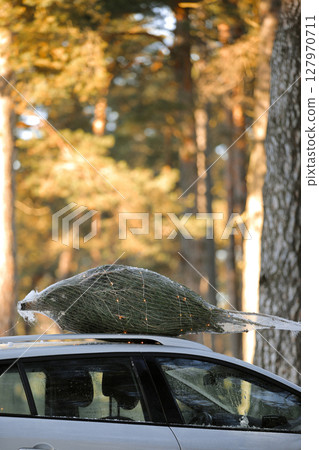 Christmas tree with garlands tied on a roof car in the snowy forest with sunlight. Fresh cut natural fir in net for xmas festival holiday decoration, symbol of family event, new year. Trees Market Christmas tree with garlands tied on a roof car in the snowy forest with sunlight. Fresh cut natural fir in net for xmas festival holiday decoration, symbol of family event, new year. Trees Market 127970711