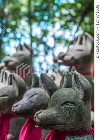 Toyokawa Inari Shrine: Reikozuka, a mound of 1,000 stone fox statues4 Toyokawa Inari Shrine: Reikozuka, a mound of 1,000 stone fox statues4 127971039