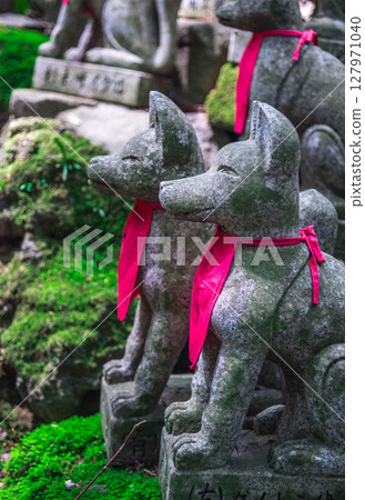 Toyokawa Inari Shrine: Reikozuka, a mound of 1,000 stone fox statues 127971040