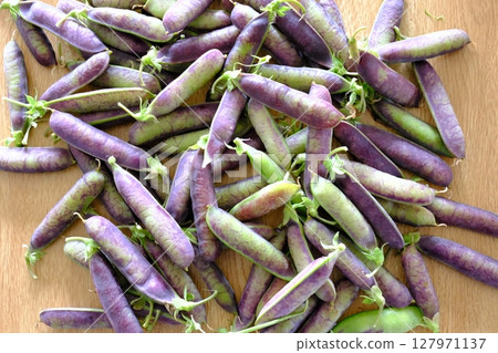 Purple peas on the table Purple peas on the table 127971137