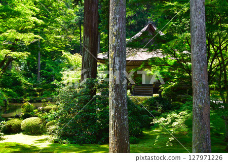 Kyoto Ohara Sanzen-in Temple 127971226