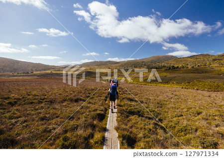 Ronny Creek at Cradle Mountain in Tasmania Australia 127971334