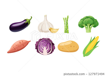 Illustration of vegetables Illustration of vegetables 127971494