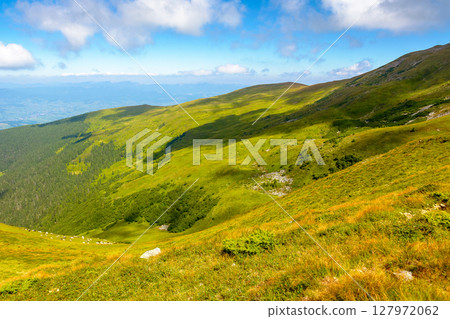 wonderful mountain landscape with rolling hills. great view from mountain petros. summer outdoor adventure in carpathians. blue sky with fluffy clouds. alpine scenery at high noon in dappled light 127972062