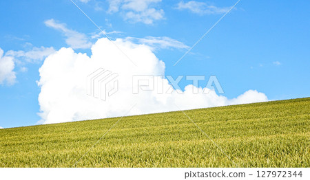 A refreshing summer landscape of blue skies, clouds and wheat fields in Hokkaido 127972344
