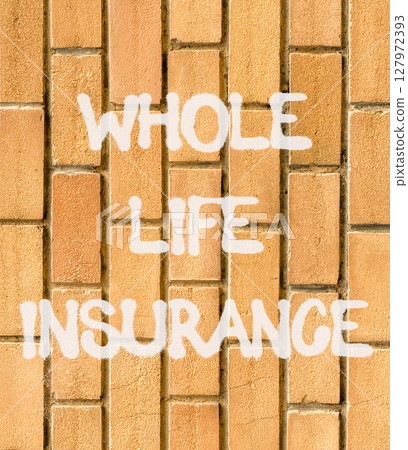 Whole life insurance symbol. Concept words Whole life insurance on beautiful brown brick wall. Beautiful brown brick wall background. Business whole life insurance concept. Copy space. 127972393