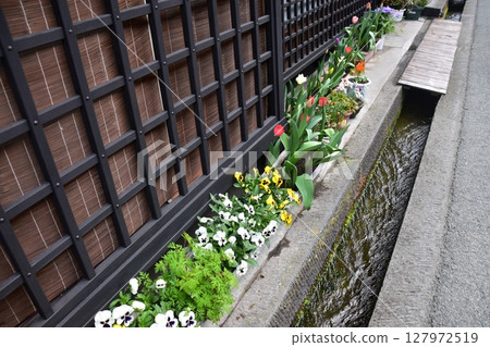 Spring in Gifu Prefecture, Japan. Old street in the center of Takayama city. Historic Japanese houses and small waterway. Beautiful flowers on the roadside. 127972519