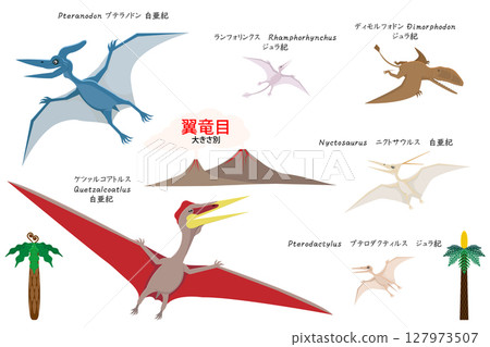 Pterosaurs by Dinosaur Size 127973507
