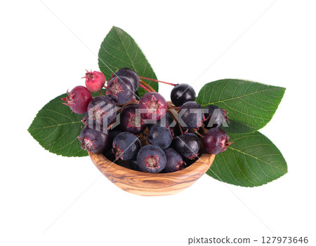 Serviceberry isolated on white background. Saskatoon, amelanchier, shadbush, juneberry, irga or sugarplum ripe berries in wooden bowl. Serviceberry isolated on white background. Saskatoon, amelanchier, shadbush, juneberry, irga or sugarplum ripe berries in wooden bowl. 127973646