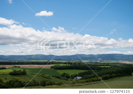 Summer green hills Summer green hills 127974133