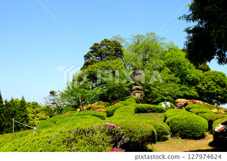 佐賀縣白石町歌垣公園（杜鵑花觀賞景點） 127974624