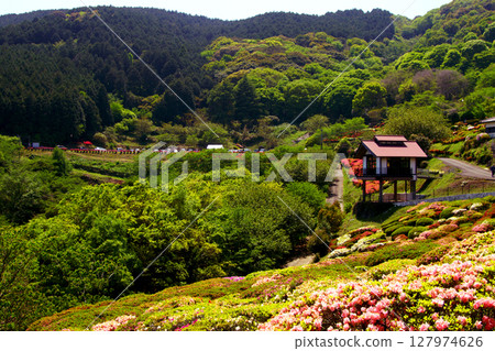 佐賀縣白石町歌垣公園（杜鵑花觀賞景點） 127974626