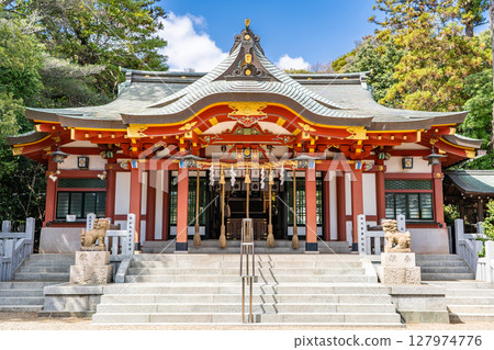 The worship hall of Koshikiiwa Shrine, the site of the Nakizumo wrestling match (the deity of fertility and safe childbirth) (the sacred object is the Koshikiiwa rock), Koshikiiwacho, Nishinomiya City The worship hall of Koshikiiwa Shrine, the site of the Nakizumo wrestling match (the deity of fertility and safe childbirth) (the sacred object is the Koshikiiwa rock), Koshikiiwacho, Nishinomiya City 127974776