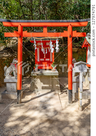 Koshikiiwa Shrine, the site of crying sumo (God of fertility and safe childbirth) Inari Shrine (Shiratama Inari Okami) Koshikiiwacho, Nishinomiya City Koshikiiwa Shrine, the site of crying sumo (God of fertility and safe childbirth) Inari Shrine (Shiratama Inari Okami) Koshikiiwacho, Nishinomiya City 127974791