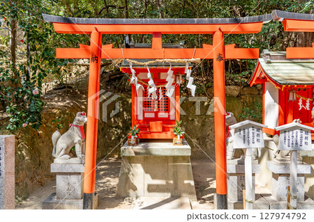 Koshikiiwa Shrine, the site of crying sumo (God of fertility and safe childbirth) Inari Shrine (Shiratama Inari Okami) Koshikiiwacho, Nishinomiya City Koshikiiwa Shrine, the site of crying sumo (God of fertility and safe childbirth) Inari Shrine (Shiratama Inari Okami) Koshikiiwacho, Nishinomiya City 127974792