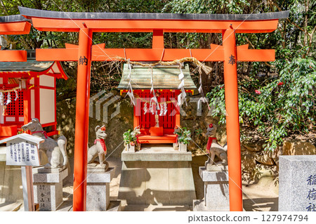 Koshikiiwa Shrine, the site of crying sumo (God of fertility and safe childbirth) Inari Shrine (Osaki Inari Okami) Koshikiiwacho, Nishinomiya City 127974794