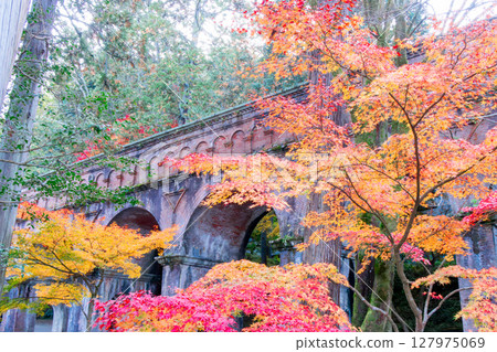 Autumn leaves at Nanzenji Temple, Lake Biwa Canal 127975069