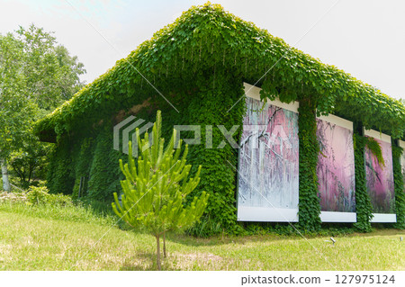 Miyota MMoP 127975124