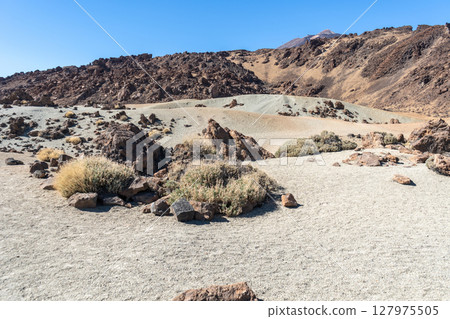 Lava Fields, Pumice Volcano Stones Texture, Volcanic Pumice Pattern, Pieces of Lava, Basalt Extrusive Igneous Rock Lava Fields, Pumice Volcano Stones Texture, Volcanic Pumice Pattern, Pieces of Lava, Basalt Extrusive Igneous Rock 127975505