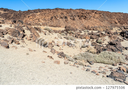 Lava Fields, Pumice Volcano Stones Texture, Volcanic Pumice Pattern, Pieces of Lava, Basalt Extrusive Igneous Rock Lava Fields, Pumice Volcano Stones Texture, Volcanic Pumice Pattern, Pieces of Lava, Basalt Extrusive Igneous Rock 127975506