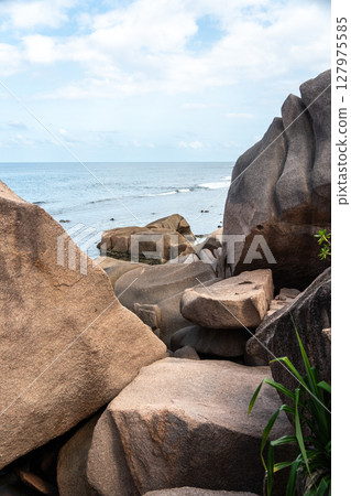 Rough hiking trail with large granite boulders, wooden planks, and dense palm vegetation s 127975585