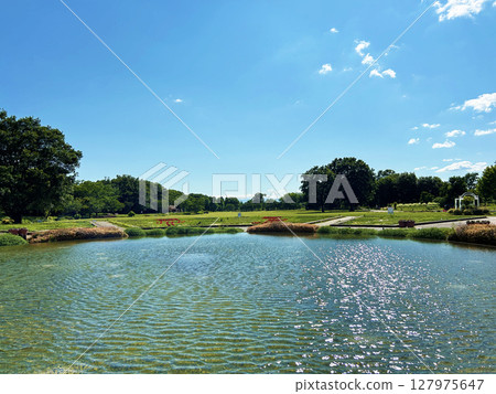 light reflecting on the pond light reflecting on the pond 127975647