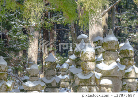 A snow-covered pagoda and a cedar forest in winter 127975697