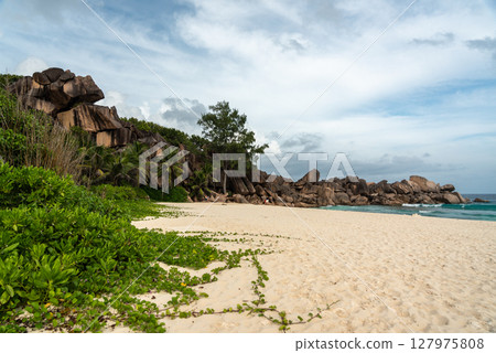 White sand is covered with spreading vines and lush greenery on La Digue beach White sand is covered with spreading vines and lush greenery on La Digue beach 127975808