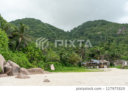 A handmade beach bar with palm roof stands on white sand near dense tropical jungle 127975820