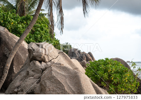 Granite boulders and tropical palms line the rocky coast of La Digue, Seychelles 127975833