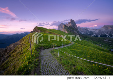 Hiking path on Seceda mountain range at sunset and yellow flowers 127976105