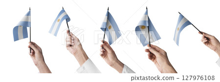 The Argentina flag in hand in different angles on a white background The Argentina flag in hand in different angles on a white background 127976108