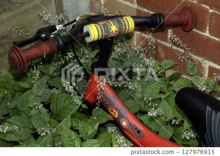 discarded abandoned childrens kids little bike being overgrown by weeds 127976915