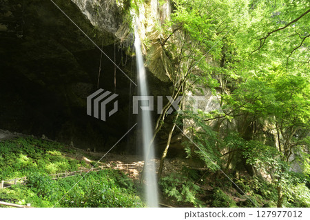 Shelf immovable waterfall 127977012