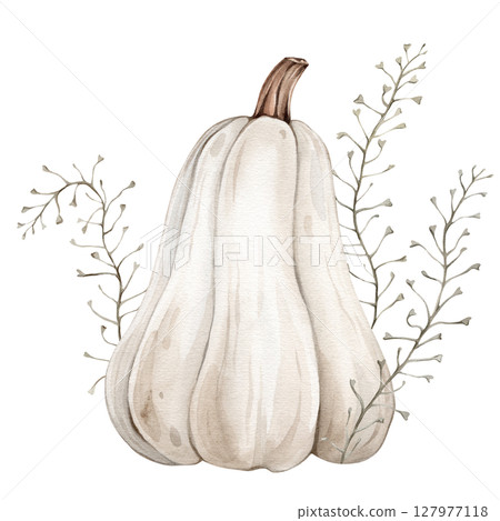 Watercolor Illustration of White Pumpkin with Stem and climbing plants. Botanical Hand Drawn Art for Autumn Decor and Harvest Greeting cards on isolated background. Drawing of Gourd for Halloween. Watercolor Illustration of White Pumpkin with Stem and climbing plants. Botanical Hand Drawn Art for Autumn Decor and Harvest Greeting cards on isolated background. Drawing of Gourd for Halloween. 127977118