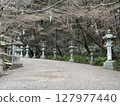 The approach to the stone lanterns 127977440