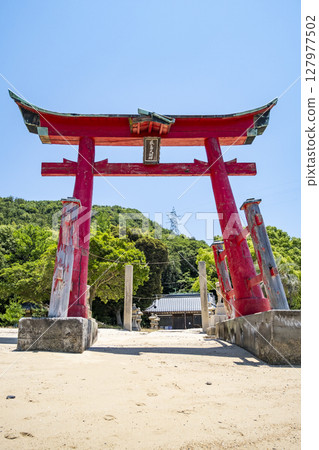 廣島縣尾道市岩兒島嚴島神社大鳥居 127977502