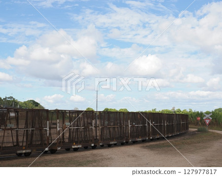 黃色列車行駛在彎曲的路線上—霍姆希爾運輸路線上的晨光 黃色列車行駛在彎曲的路線上—霍姆希爾運輸路線上的晨光 127977817