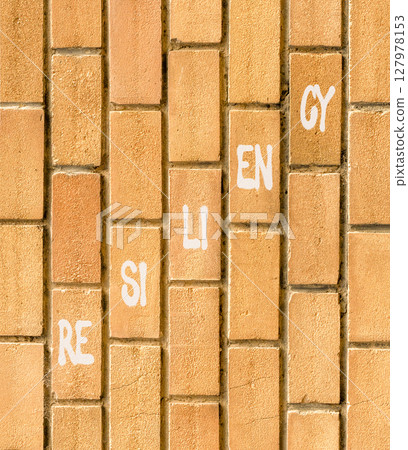 Resiliency symbol. Concept word Resiliency on beautiful brown bricks. Beautiful brown brick wall background. Business resiliency concept. Copy space. 127978153