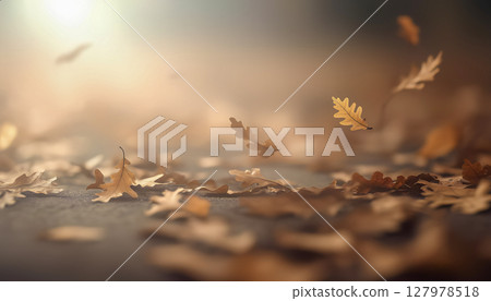 Autumn leaves on the road Autumn leaves on the road 127978518