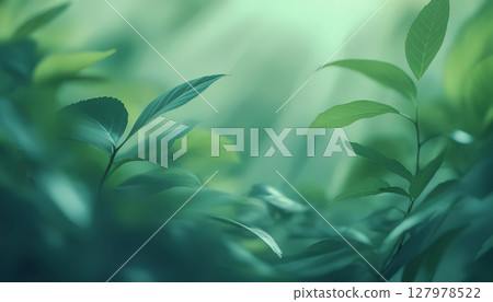 Fresh green foliage in soft light Fresh green foliage in soft light 127978522