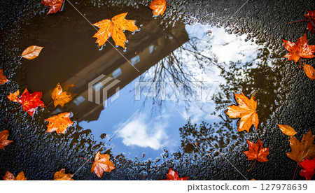 Autumn leaves and reflection of the sky in a puddle 127978639