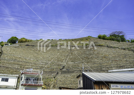 Uwajima Yusamigaura terraced fields, Uwajima City, Ehime Prefecture Uwajima Yusamigaura terraced fields, Uwajima City, Ehime Prefecture 127978682