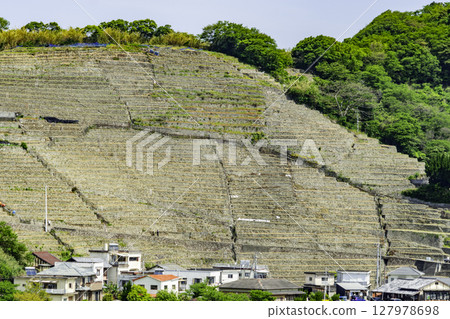 Uwajima Yusamigaura terraced fields, Uwajima City, Ehime Prefecture 127978698
